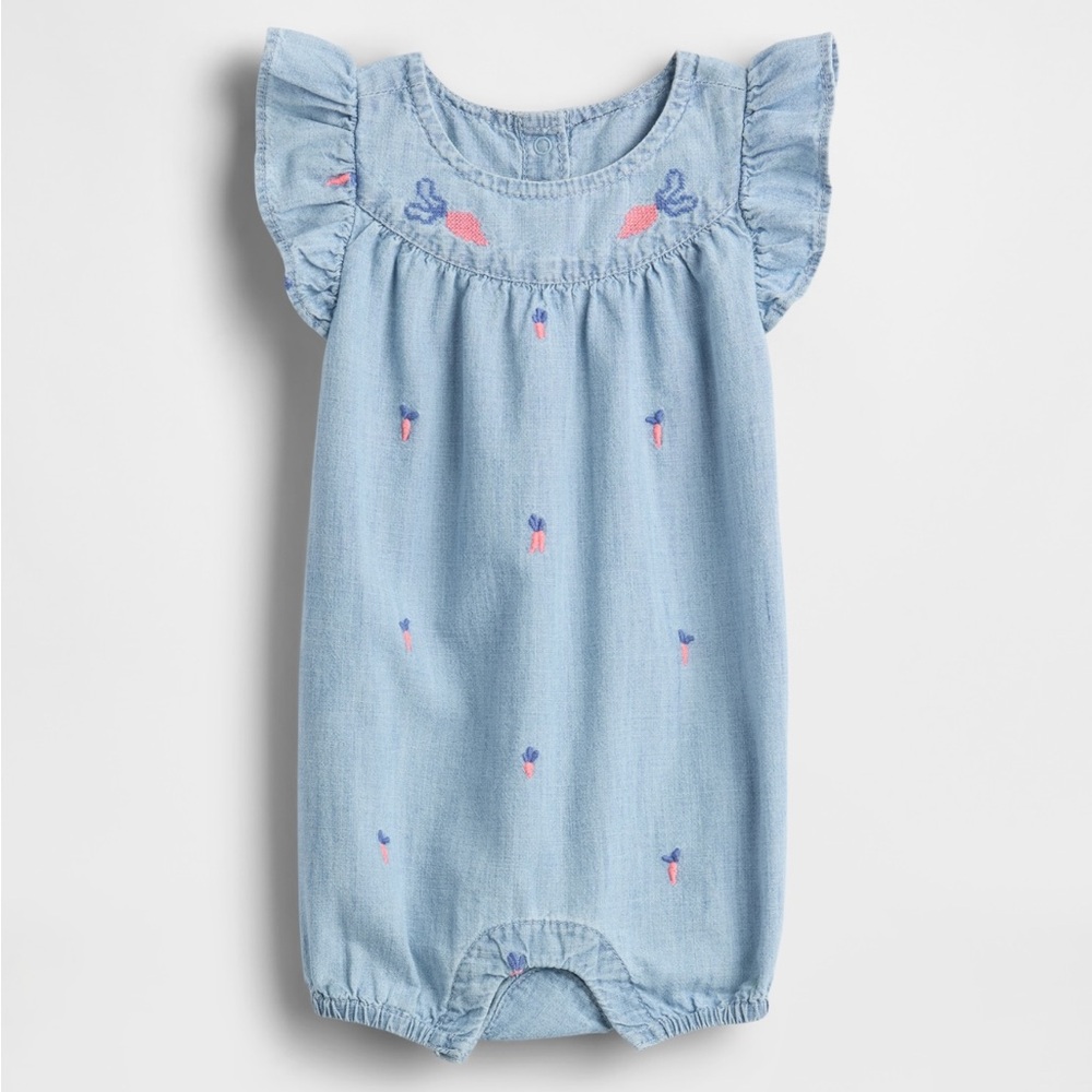 Baby Gap Peter Rabbit Chambray Outfit NWT